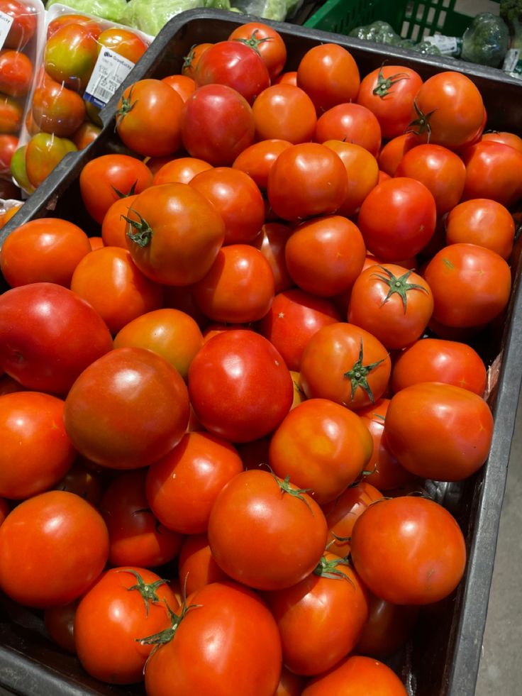 Tomates fraiches de la ferme_panier de 5k